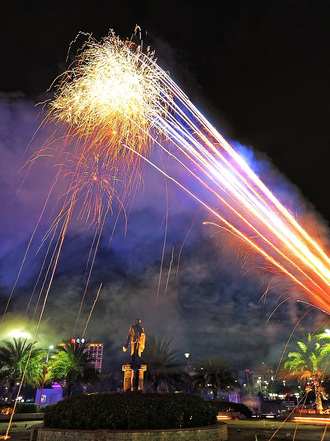 夜空烟花绘,绘就新年的璀璨序章