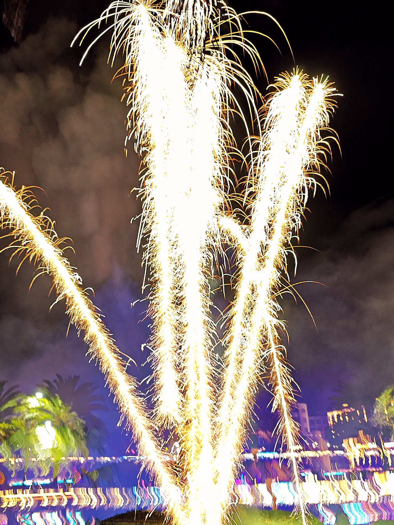 夜空烟花绘,绘就新年的璀璨序章