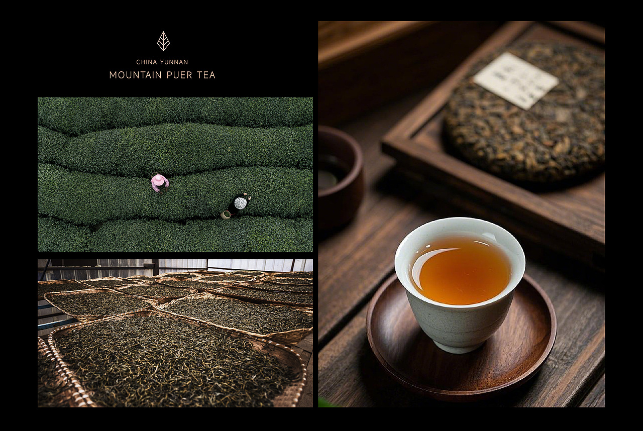 高山普洱茶包装设计（图ZMzg1MDIwMjQ4） - 包装 - 站酷设计师北京品牌工场原创素材 - 站酷ZCOOL