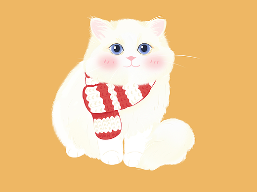 小猫猫