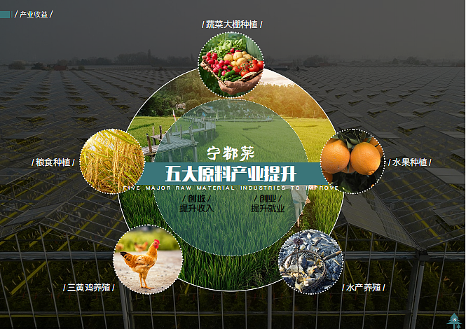 2025赣州宁都县钓洲岛美食文化乡村文旅景区旅游案