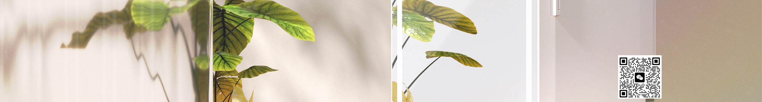 徐某人啊的个人主页（封面预览） - 主页封面设置 - 站酷设计师徐某人啊原创素材 - 站酷ZCOOL