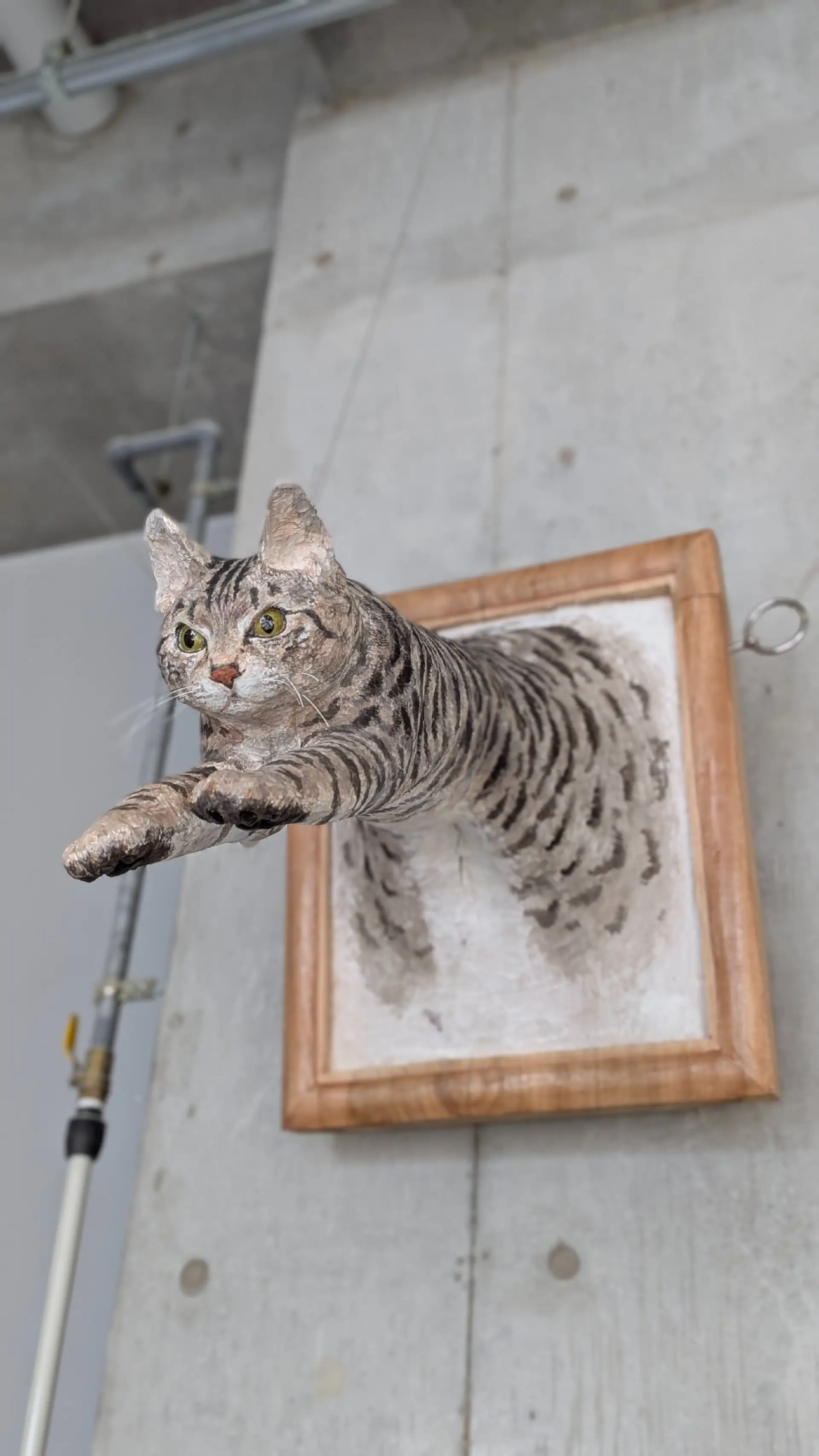 亚冬会设计盘点/Newjeans 更名 NJZ 并推出新 LOGO/武藏野美术大学毕业展亮相（图ZMTUwMjQ5NzI=） - 资讯 - 站酷设计师站酷资讯原创素材 - 站酷ZCOOL