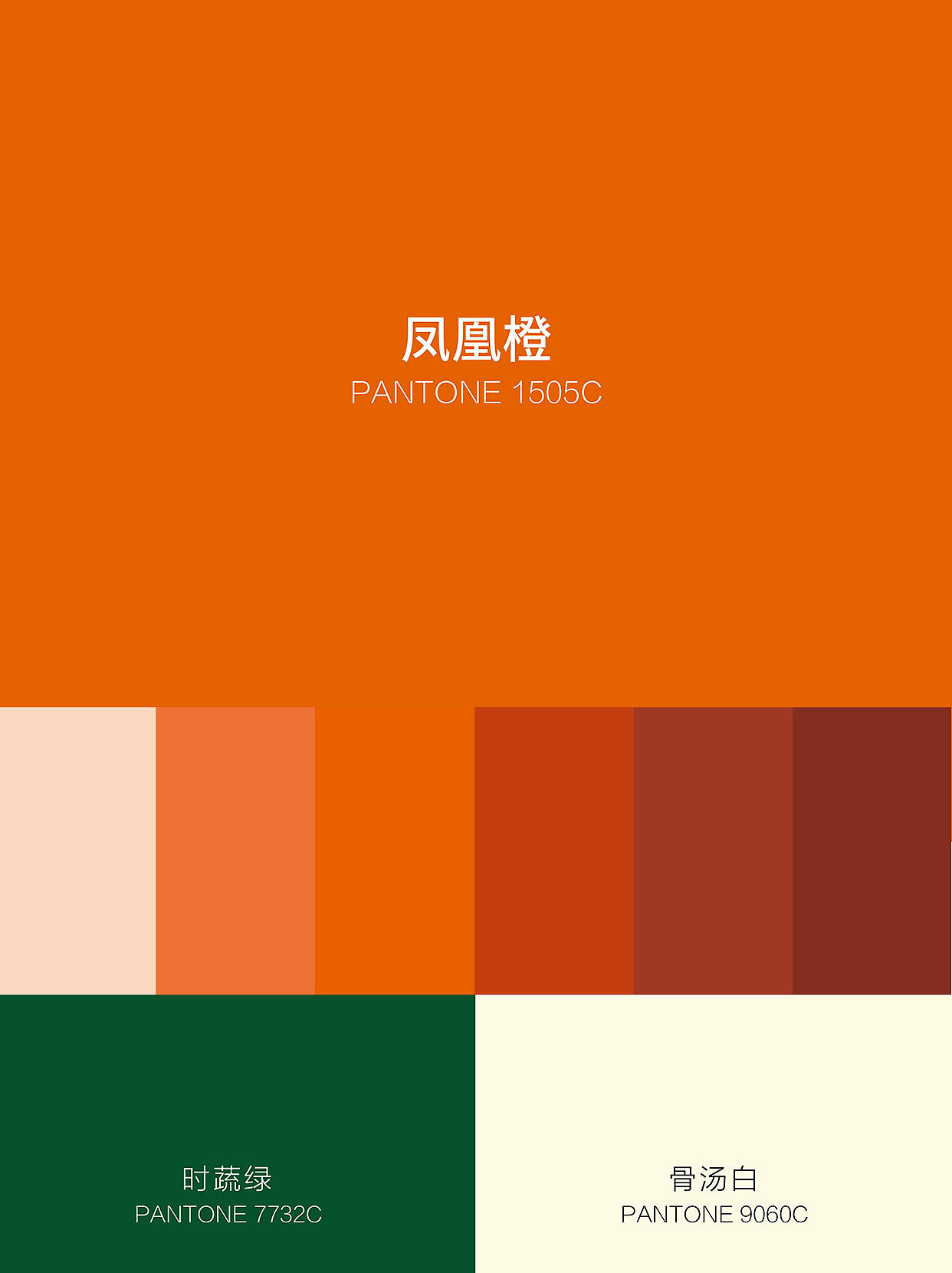 杨国福 | 老品类、老品牌,借力时代之势穿越生命周期