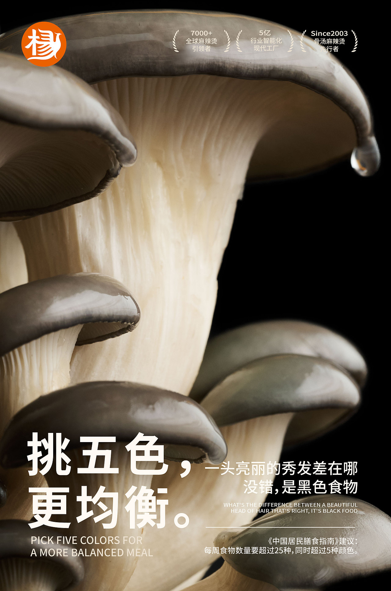 杨国福 | 老品类、老品牌,借力时代之势穿越生命周期