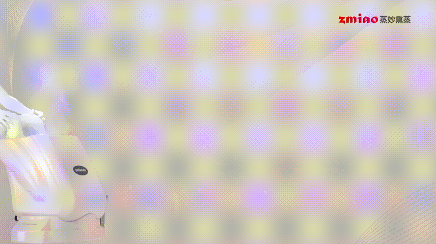 蒸妙熏蒸