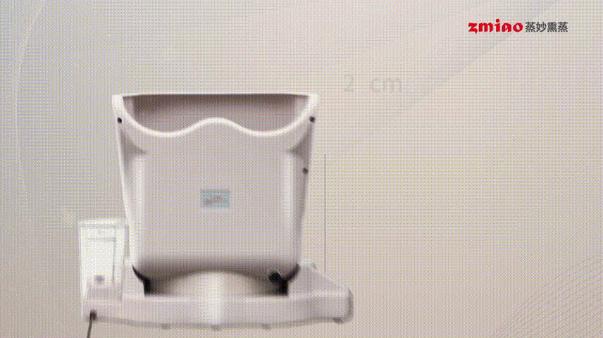 蒸妙熏蒸