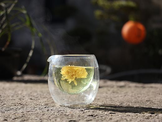 皇菊