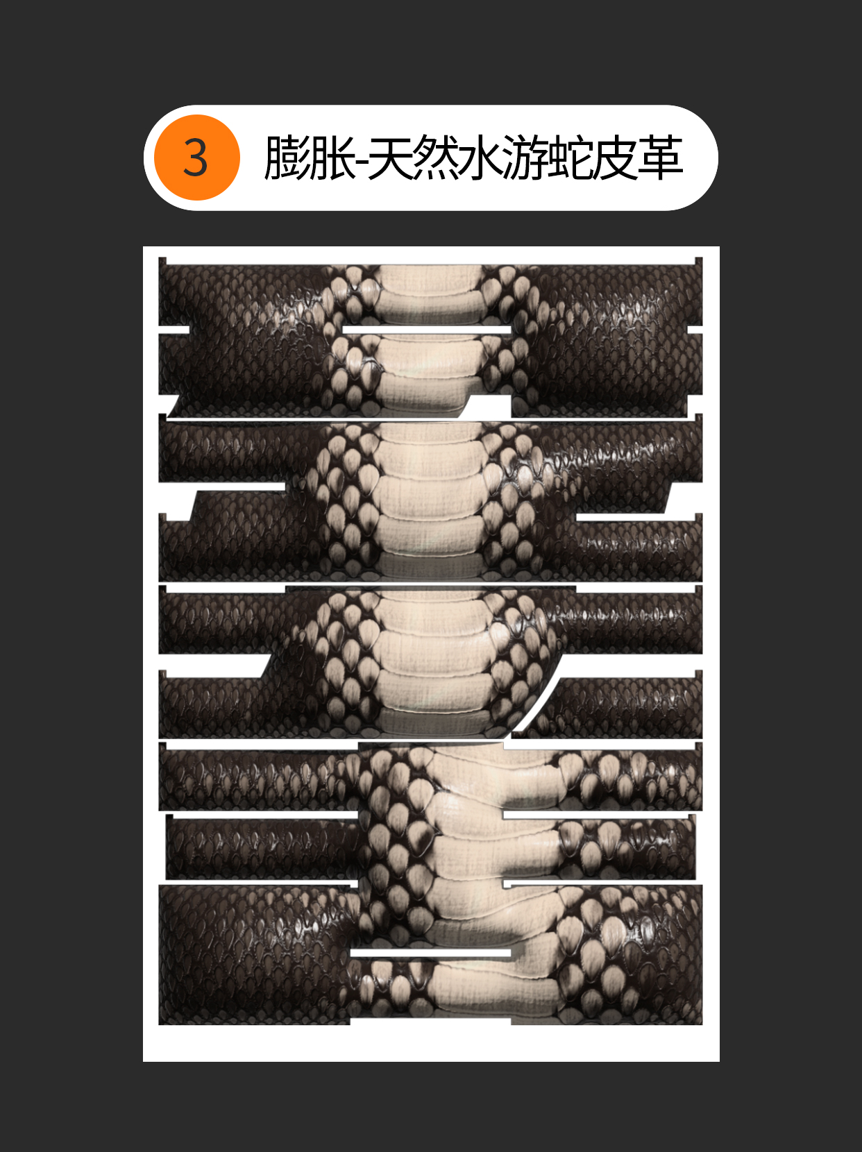 如何才能用ai的膨胀效果做多种表现？