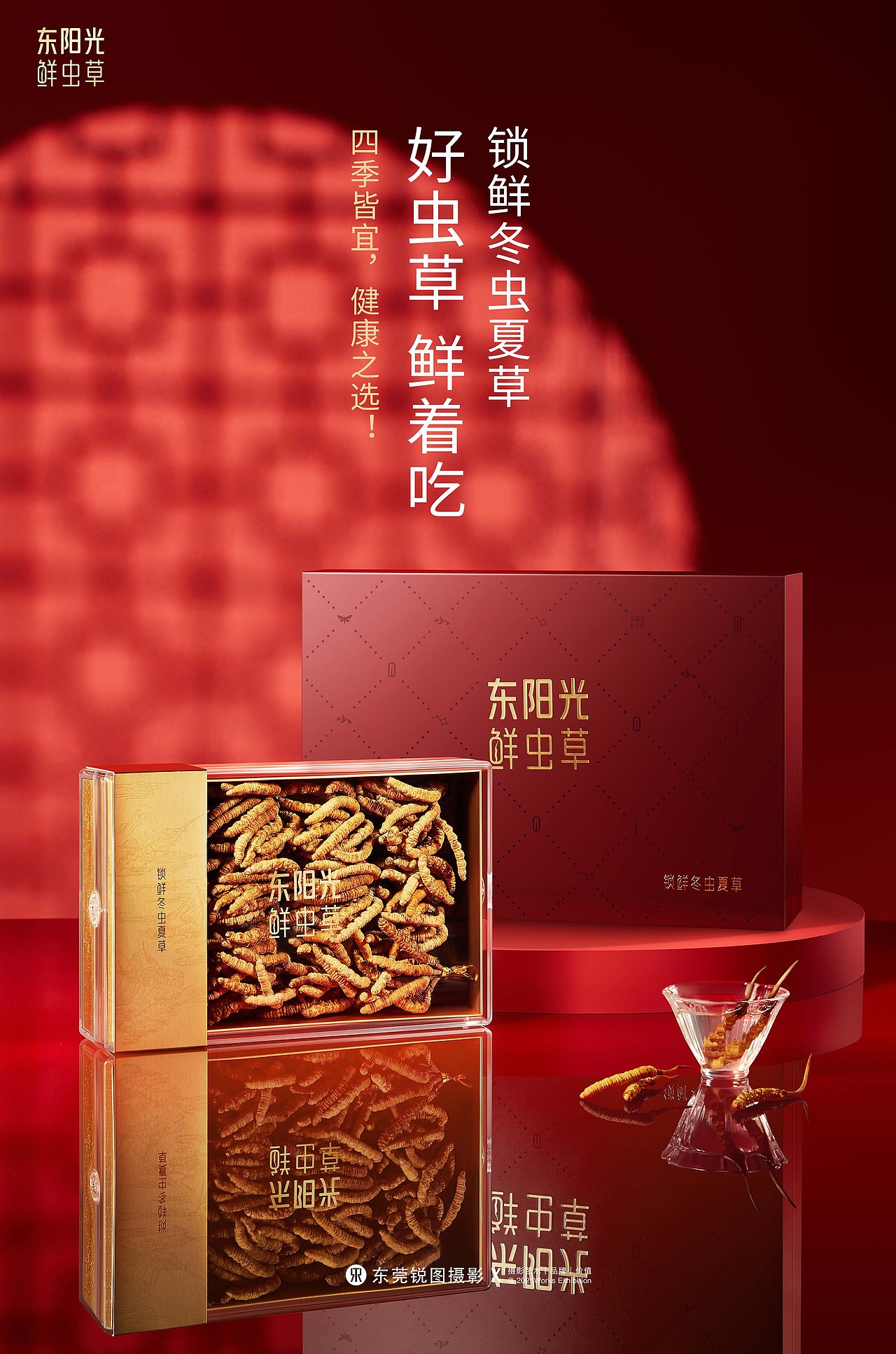 东阳光大健康鲜虫草新年礼盒策划摄影 | 东莞锐图摄影
