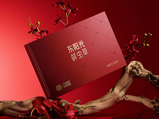 东阳光大健康鲜虫草新年礼盒策划摄影 | 东莞锐图摄影