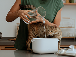 Petlibro-Hydration Campaign