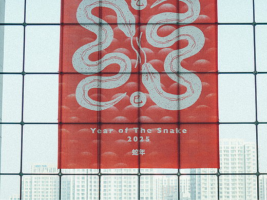 九易庄宸 2025 乙巳蛇年 IP 图形