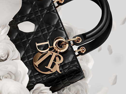 DIOR 包包视频