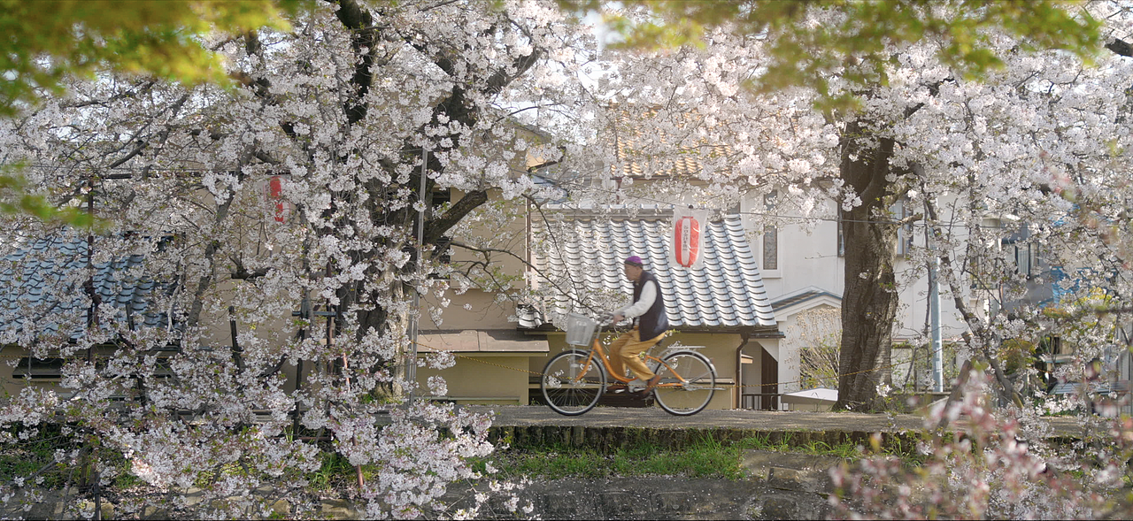 在奈良的小川边 静帧