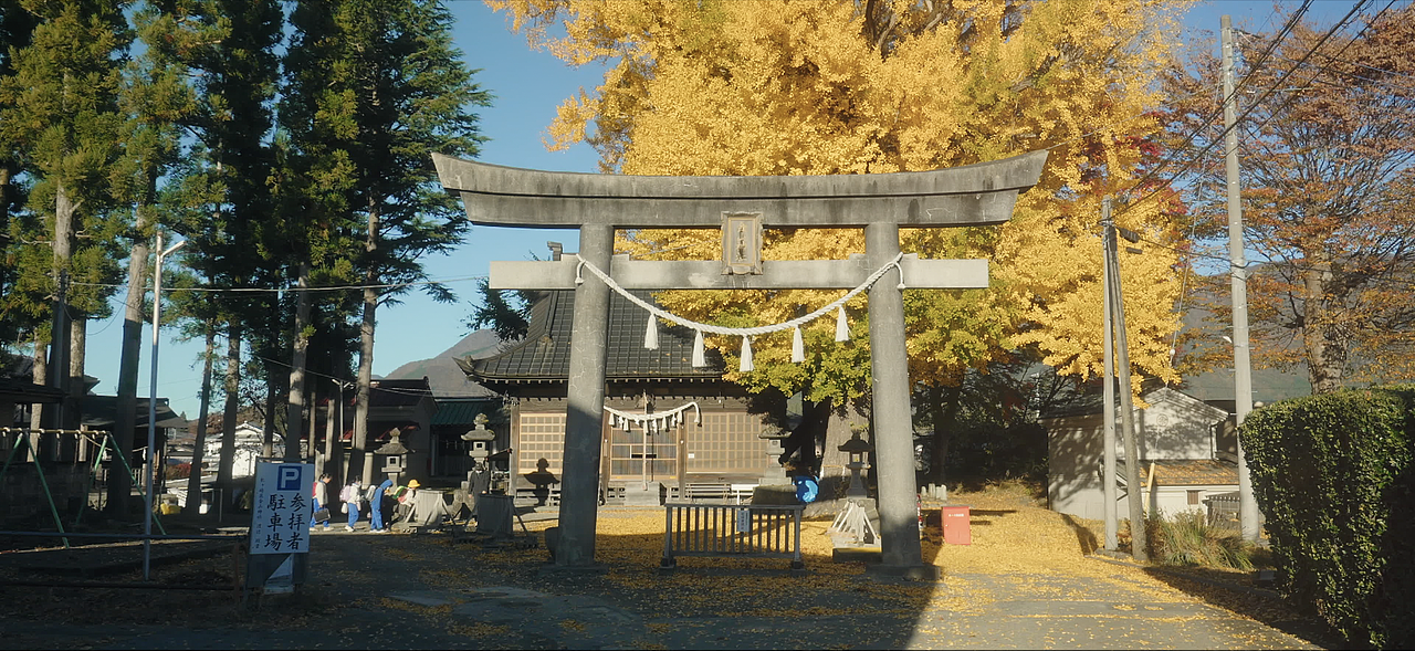富士山下的神社、银杏 ，上学的孩子 静帧