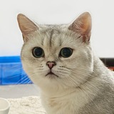 设计师千禧的头像