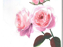 新水彩画基础课节选，讲师作品