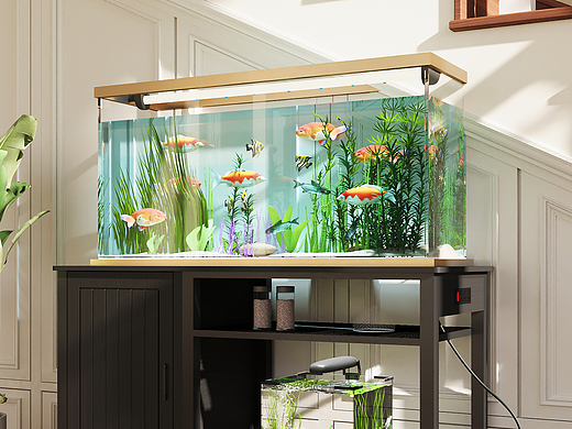 亚马逊-鱼缸桌（个人主页-ZNzEzNTc5NDg=） - 海报 - 站酷设计师EagleWu原创素材 - 站酷ZCOOL