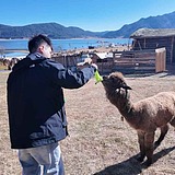 Dylan_呆黄的头像