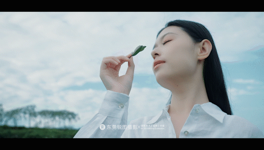 钛杯 保温杯品牌广告视频 | 东莞锐图摄影