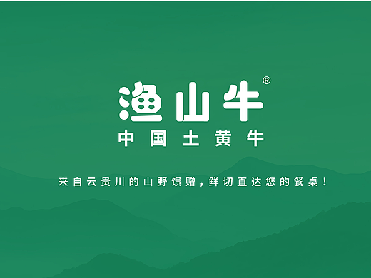渔山牛丨中国土黄牛品牌设计