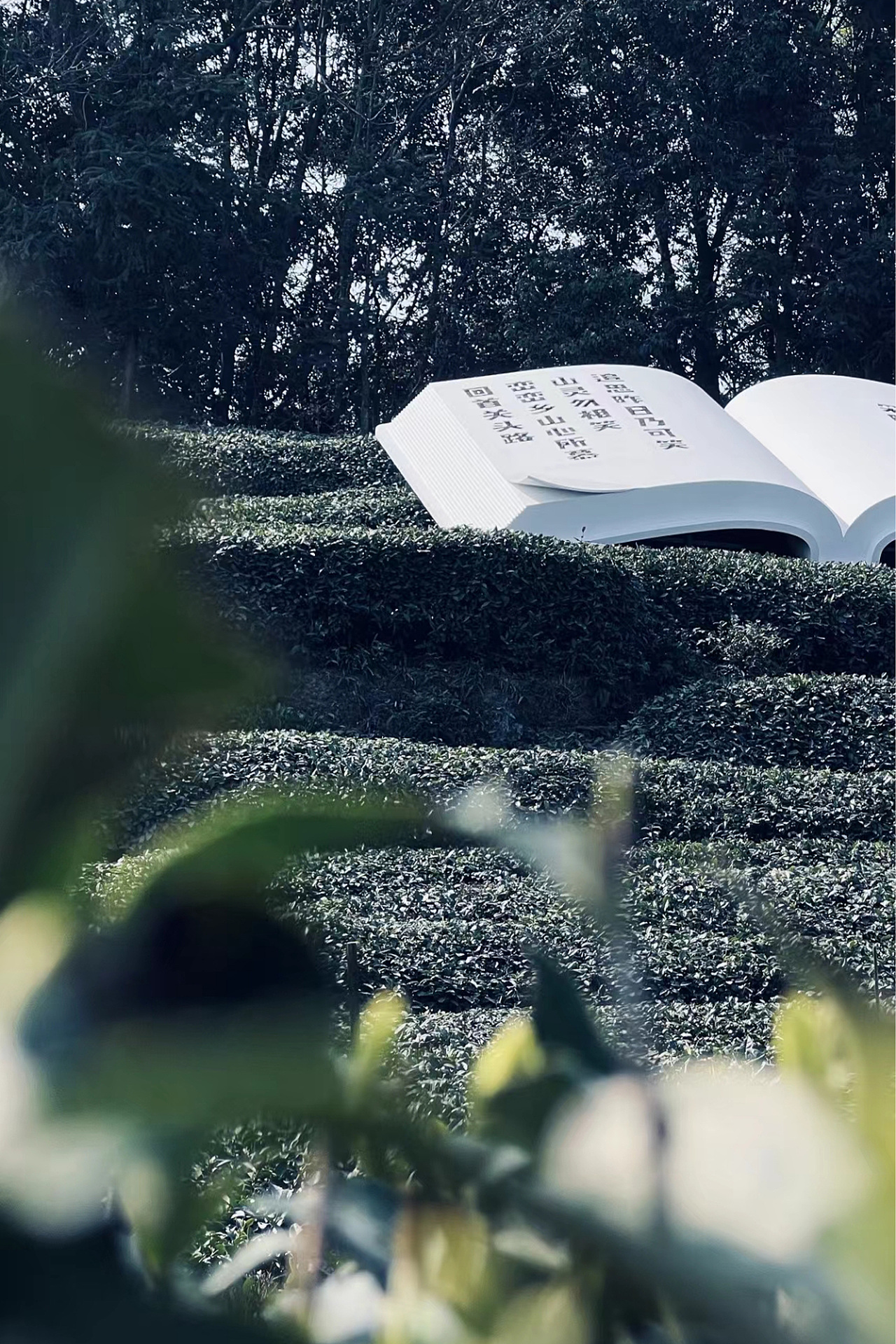 春天里的蒙顶诗歌节 第二季
