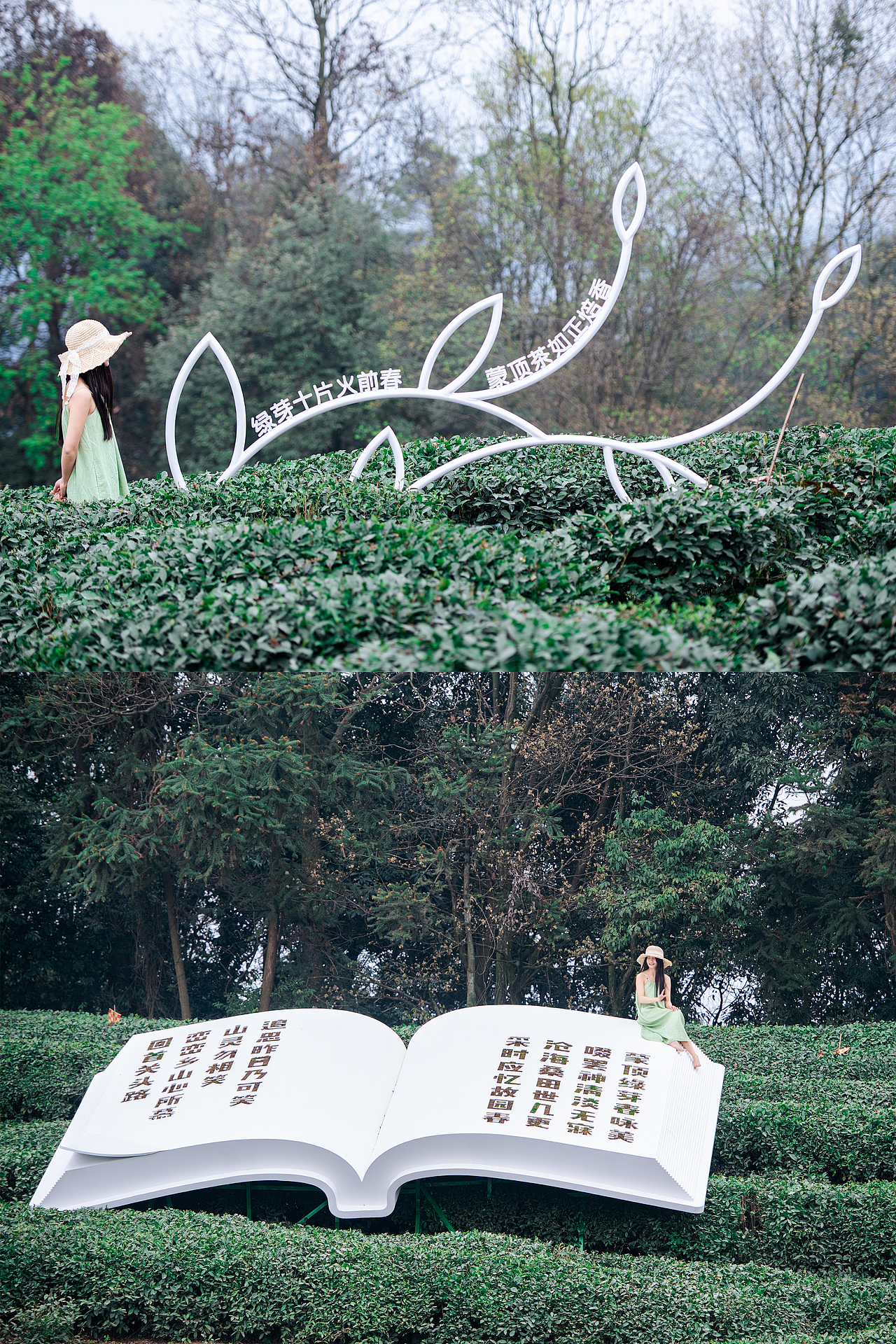 春天里的蒙顶诗歌节 第二季