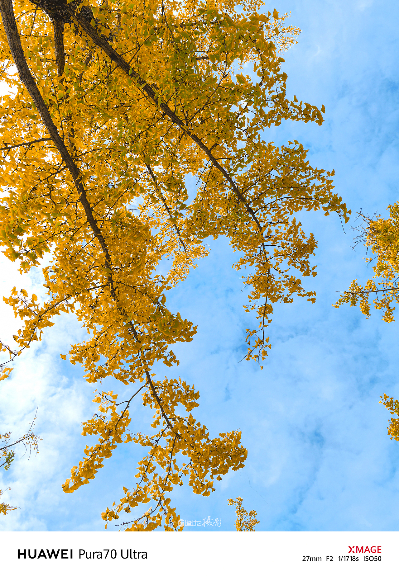 手机摄影笔记｜慢下来，感受生活中的小确幸（图ZMzg1MjM3MTI4） - 风光摄影 - 站酷设计师图龙摄影原创素材 - 站酷ZCOOL