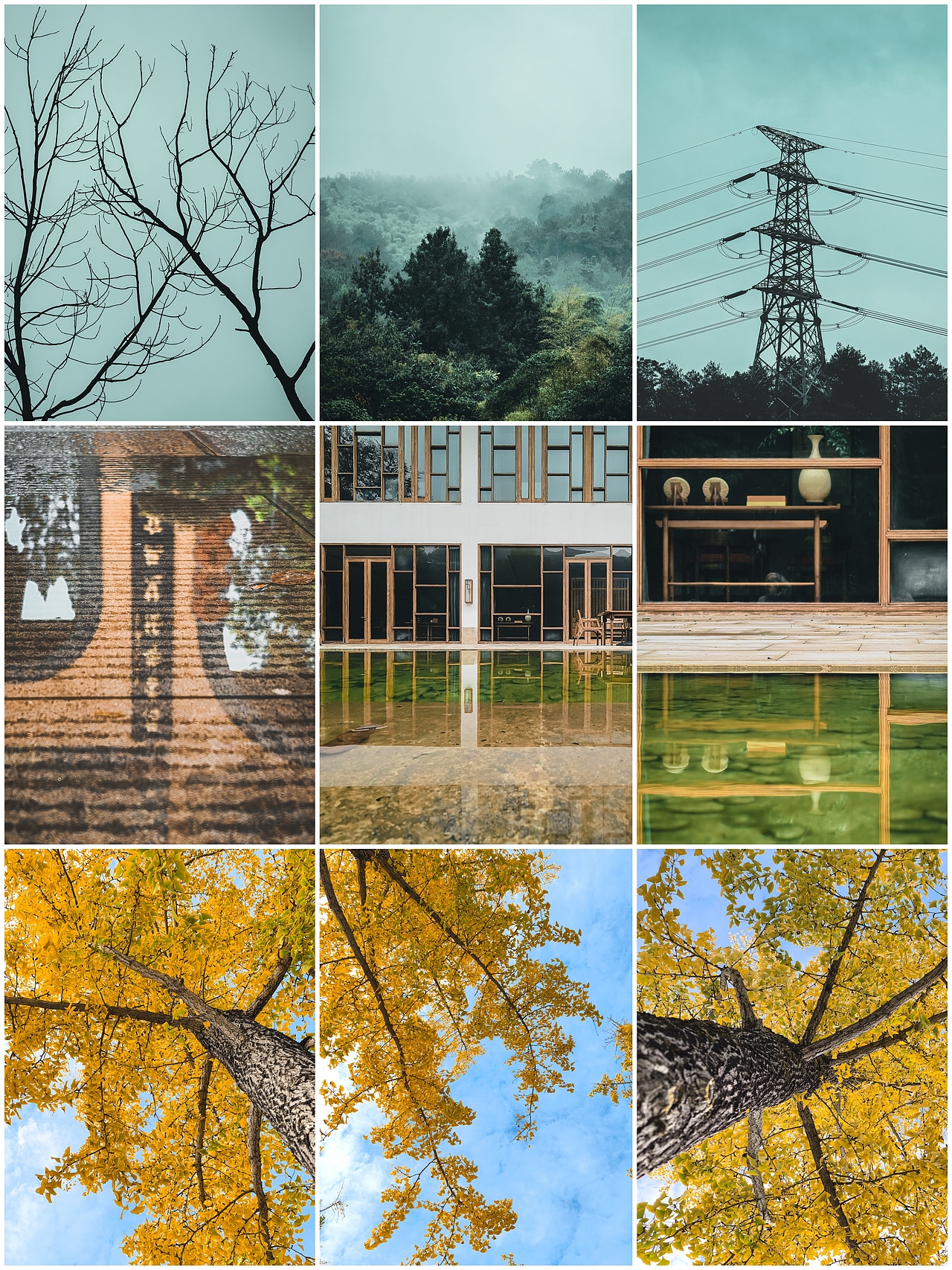 手机摄影笔记｜慢下来，感受生活中的小确幸