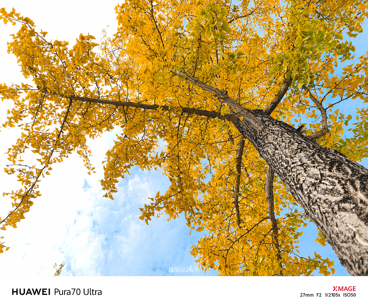 手机摄影笔记｜慢下来，感受生活中的小确幸