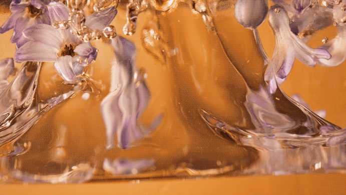 FOCUS X 茉珂MookLook|金钻眼油 —— 成分&细胞CG