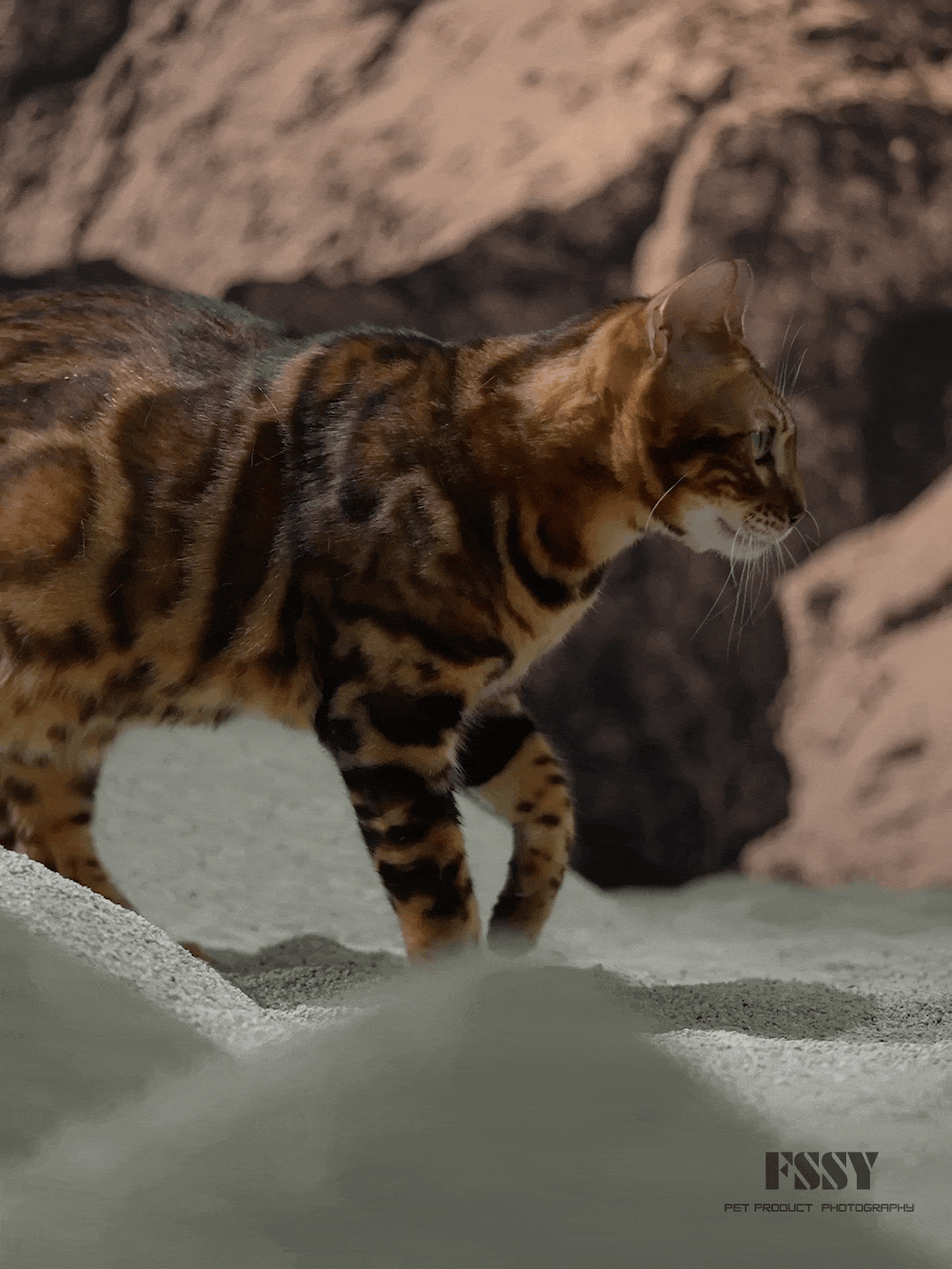 宠物猫砂广告|宠物产品拍摄丨宠物矿砂视频