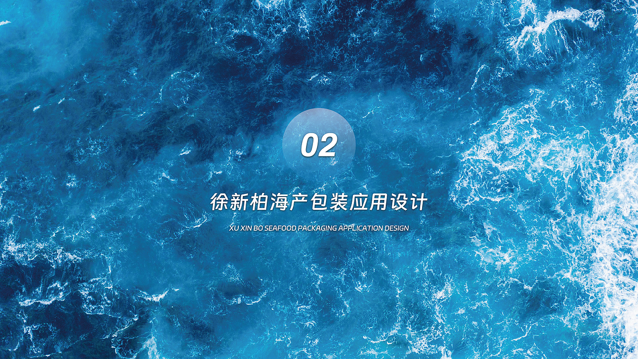 徐新柏海产包装设计