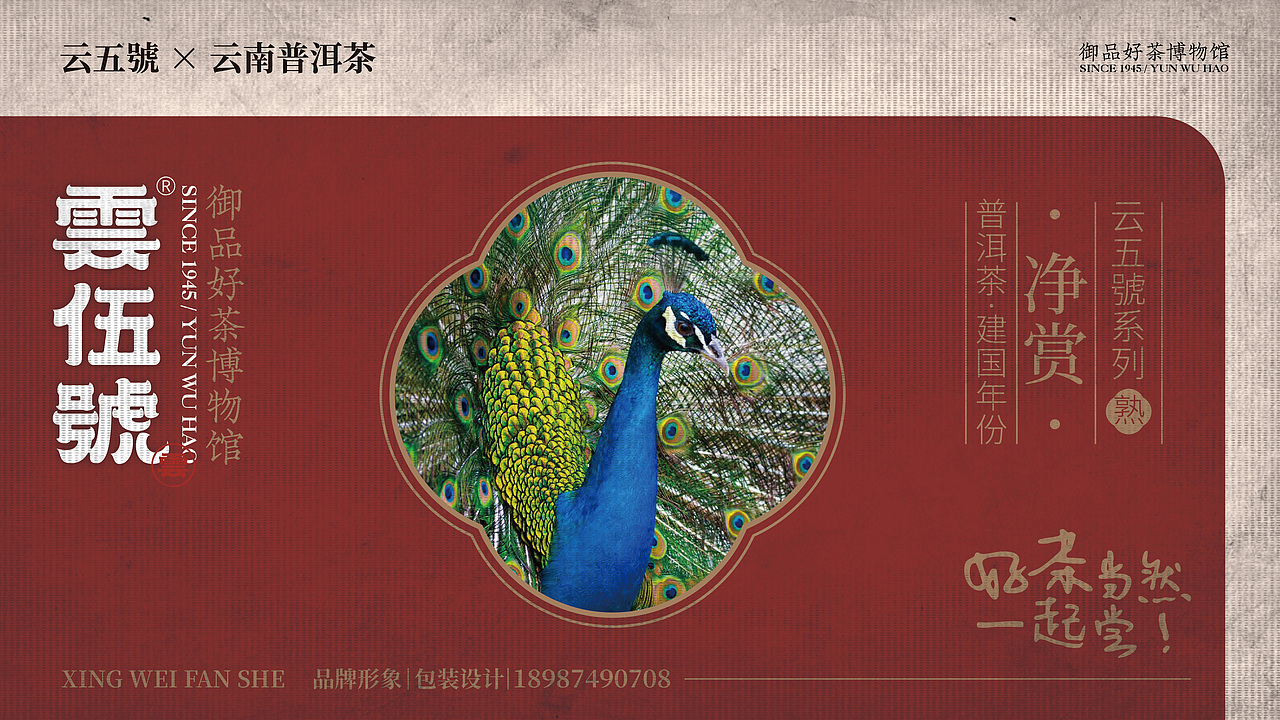 茶叶品牌 雲伍號