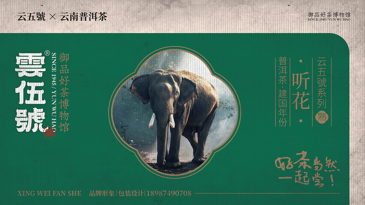 茶叶品牌 雲伍號