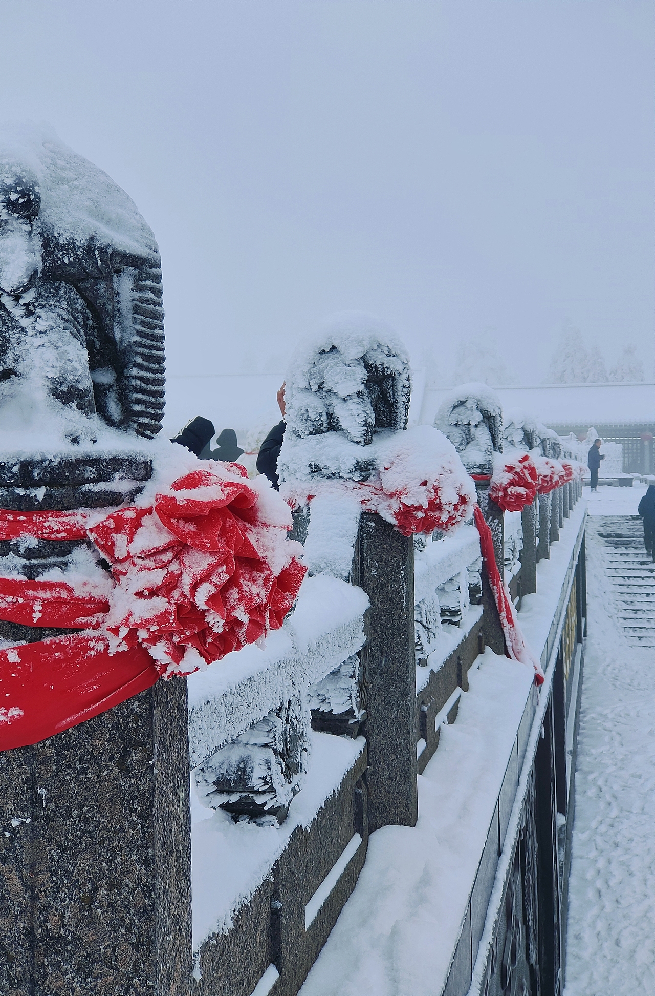 📍 𝐄 𝐦𝐞𝐢 𝐬𝐡𝐚𝐧 峨眉山