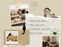 Petlibro-New Year Campaign