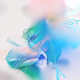 女侠18的头像