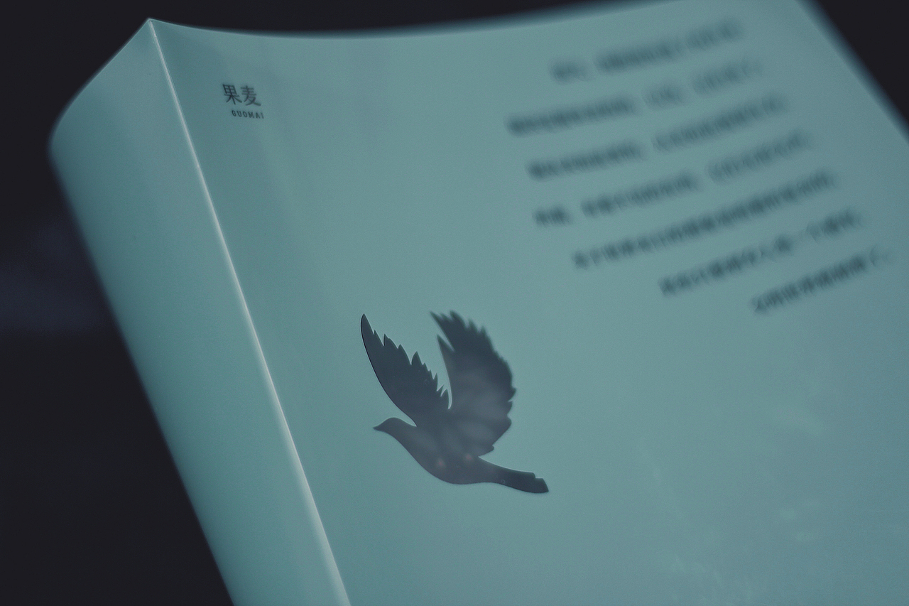 书籍设计《鸟盒》2021年作品（图ZMzg1MzA2NTQ4） - 书籍/画册 - 站酷设计师Molly星野原创素材 - 站酷ZCOOL
