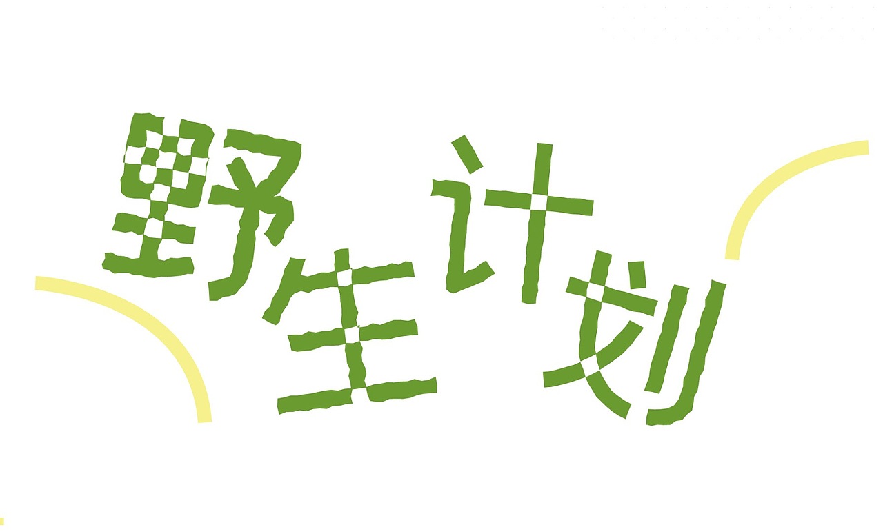 视觉设计:“野生计划”自然X美育活动