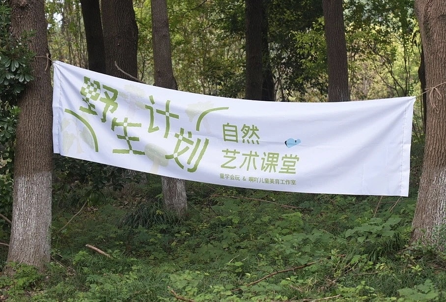 视觉设计:“野生计划”自然X美育活动