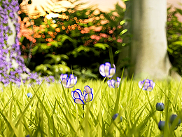 植物開花生長(zhǎng)動(dòng)畫~