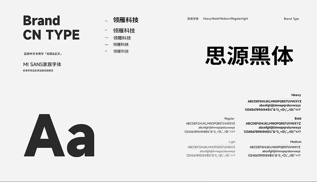 领雁科技LOGO+IP升级