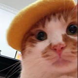 Jxxxb的头像