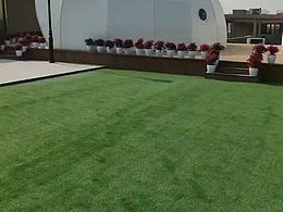 绝对不能错过的海螺帐篷酒店，改变你的看法！