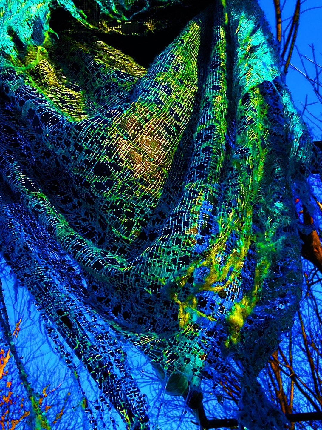 刘勇良画意摄影：艺术就是一块无用但能愉悦身心的破布