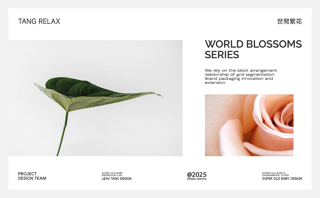 留棠LeavTang香薰包装全案×超级老BABY | LOGO/包装（图ZMzg1NDE5NTAw） - 包装 - 站酷设计师超级老BABY原创素材 - 站酷ZCOOL