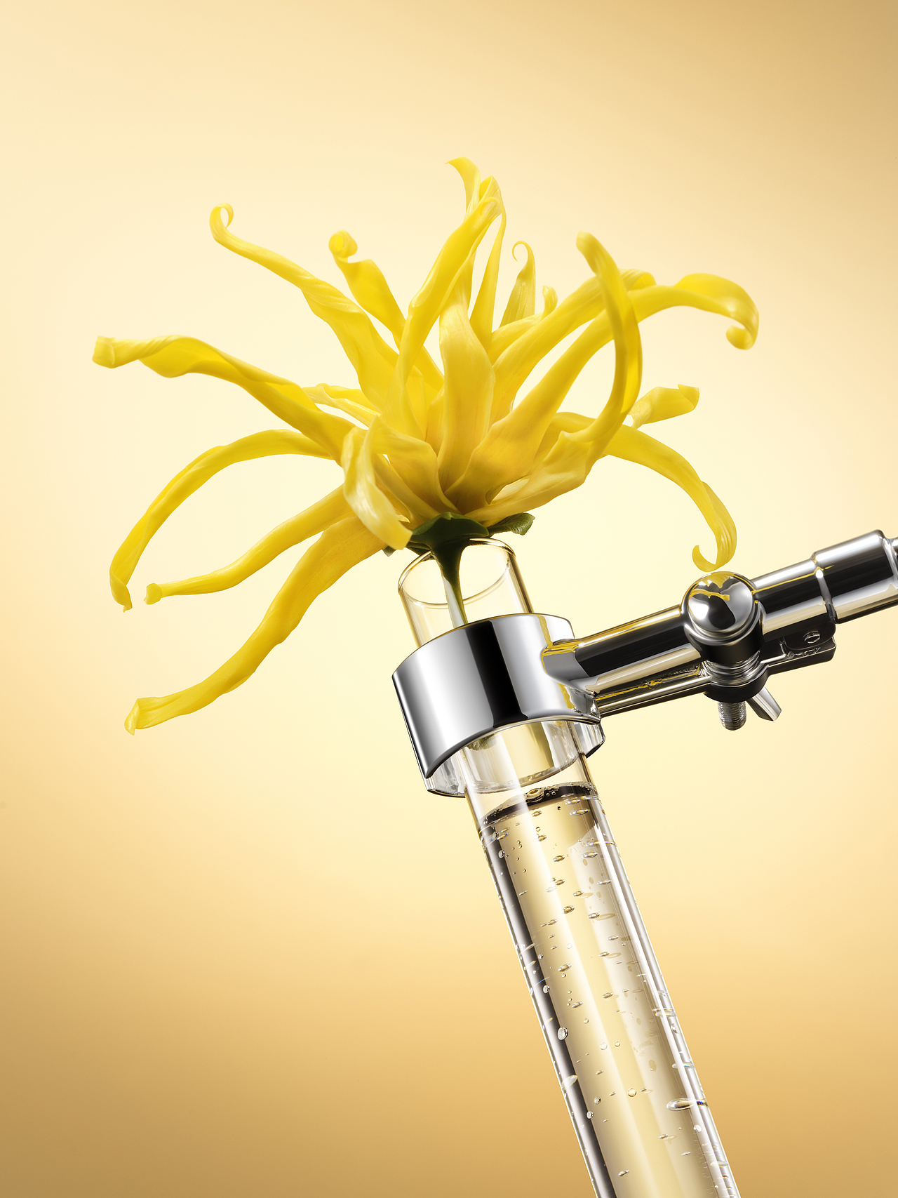 馥绿德雅-水疗奢护系列（图ZMzg1NDIyMzg0） - 修图/后期 - 站酷设计师修图师MS原创素材 - 站酷ZCOOL