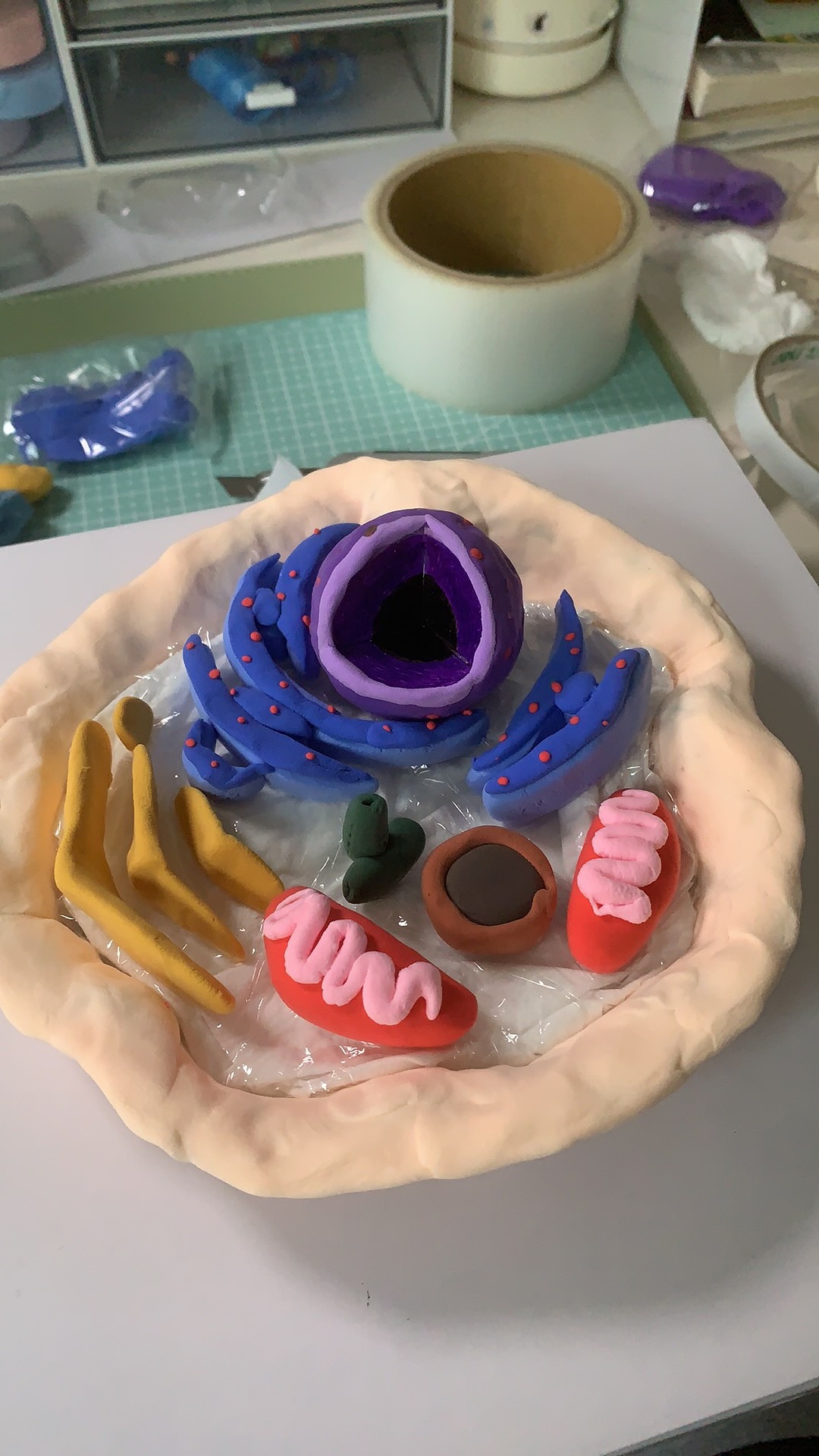 动物细胞模型（图ZMzg1NDI1MzA4） - 手办/模玩 - 站酷设计师far_1221原创素材 - 站酷ZCOOL